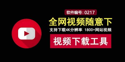 Vidbee视频下载神器：超1800个网站适用，4K视频飞速下载！