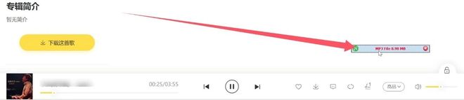 Neat Download Manager中文便携版使用效果 UU资源分享
