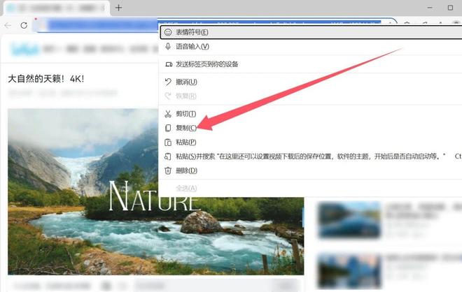 视频下载工具vidbee实测截图 UU资源分享